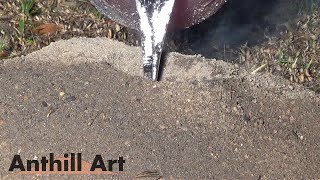 Casting a Bigger Fire Ant Colony with Molten Aluminum (Cast #057)