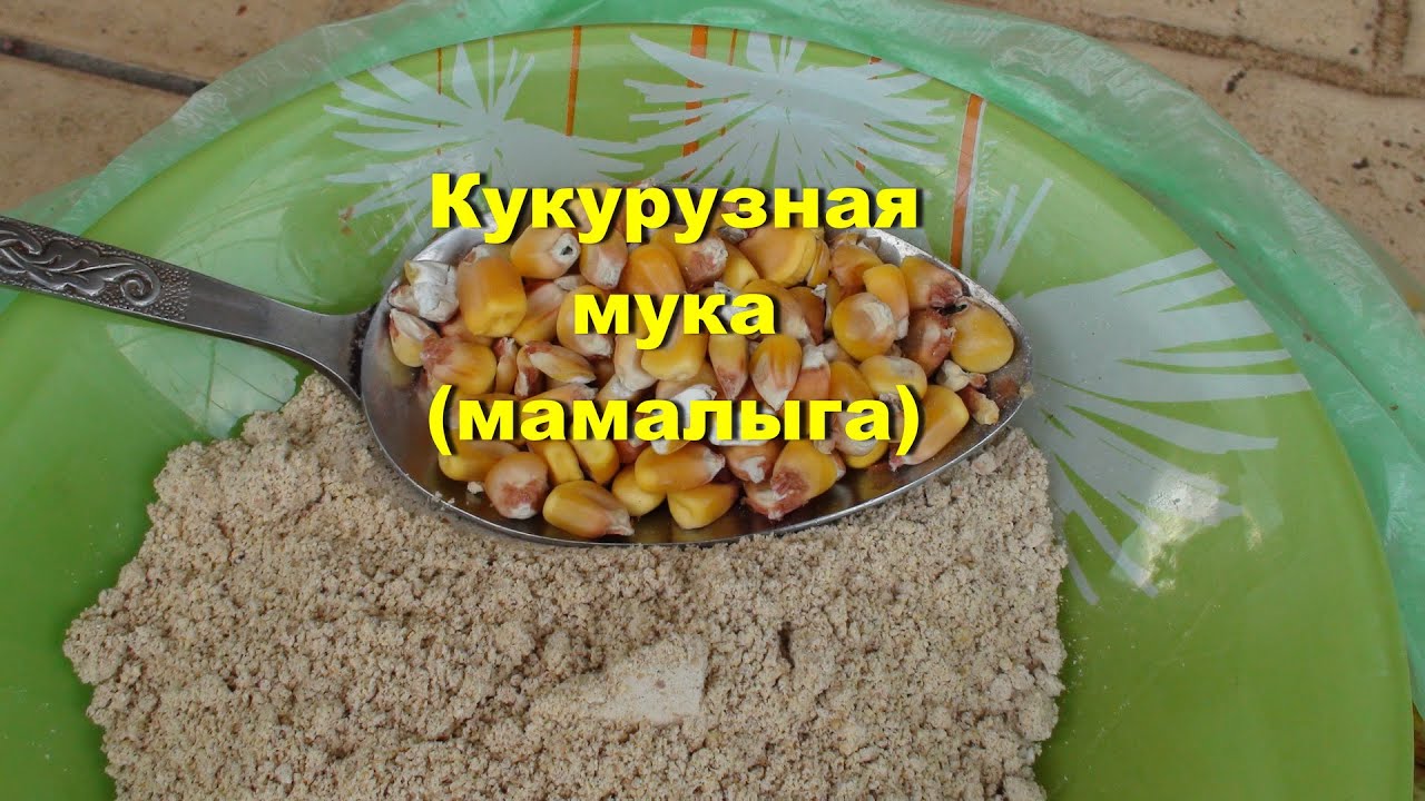 Уловистая приманка. Как сделать муку для мастырки.