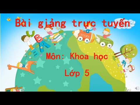 Video: Các Giai đoạn Của Kiến thức Khoa Học