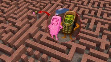 I FOUND NOKIA AND PINK PHONE IN MAZE? In Garry