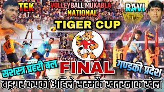 नेपालकै ठूलोTigerCupमा ऐतिहासिक फाइनल भिडन्त | Gandaki Vs Apf | tiger cup final | Volleyball Match