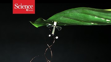 Flying robots can conserve energy by perching