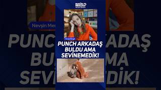 Punch Arkadaş Buldu Ama Sevinemedik