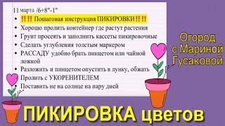 ПИКИРОВКА - пошаговые рекомендации ЛОБЕЛИЯ и ГВОЗДИКА