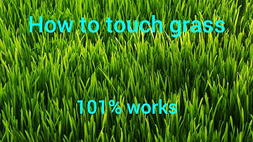 How to touch grass (tutorial)