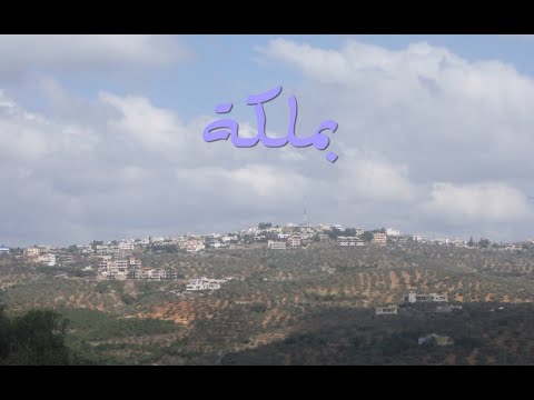 اشتقنا يا بملكة   