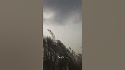 ماهر المعيقلي، سورة الحديد