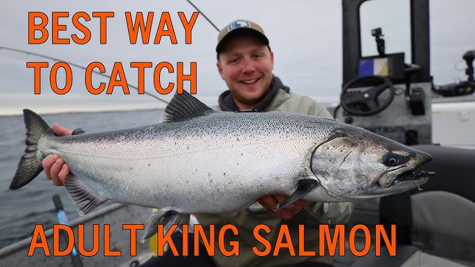 How To Troll LEAD CORE and COPPER Lines For Salmon. COMPLETE HOW TO GUIDE.  