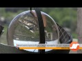 Флотската кула в Русе следи времето от 131 години Флотската кула в Русе следи времето от 131 години