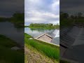 Fiume di Brenta cascata di Limena #shorts #shortvideo