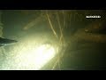 Подводная охота Лабиринты_2. Spearfishing  Записки охотника