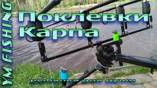 10 минут релакса. Карповые поклевки. Ловля карпа. YM fishing