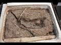 В Чили обнаружили самый древний человеческий след