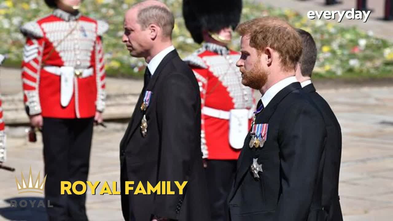 Harry's defence after he made 'cutting' swipe at Prince William's appearance