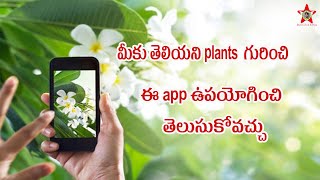 How to Know Plant Names Using Leafsnap app in Telugu screenshot 1