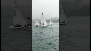 💥ASMR Most Satisfying Sound while Sailing‼️⛵️⛵️#shorts #asmr #hk #sailboat