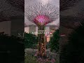 This the Singapore #travel #singapore 🇸🇬🇸🇬💵🧳