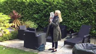 B74Af6Dc B227 49A5 9Ca3 5F0Ed76E098C