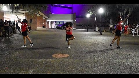 The Lambda Psi Chapter of Delta Sigma Theta Sorority, Inc. 2021 NPHC Yard Show