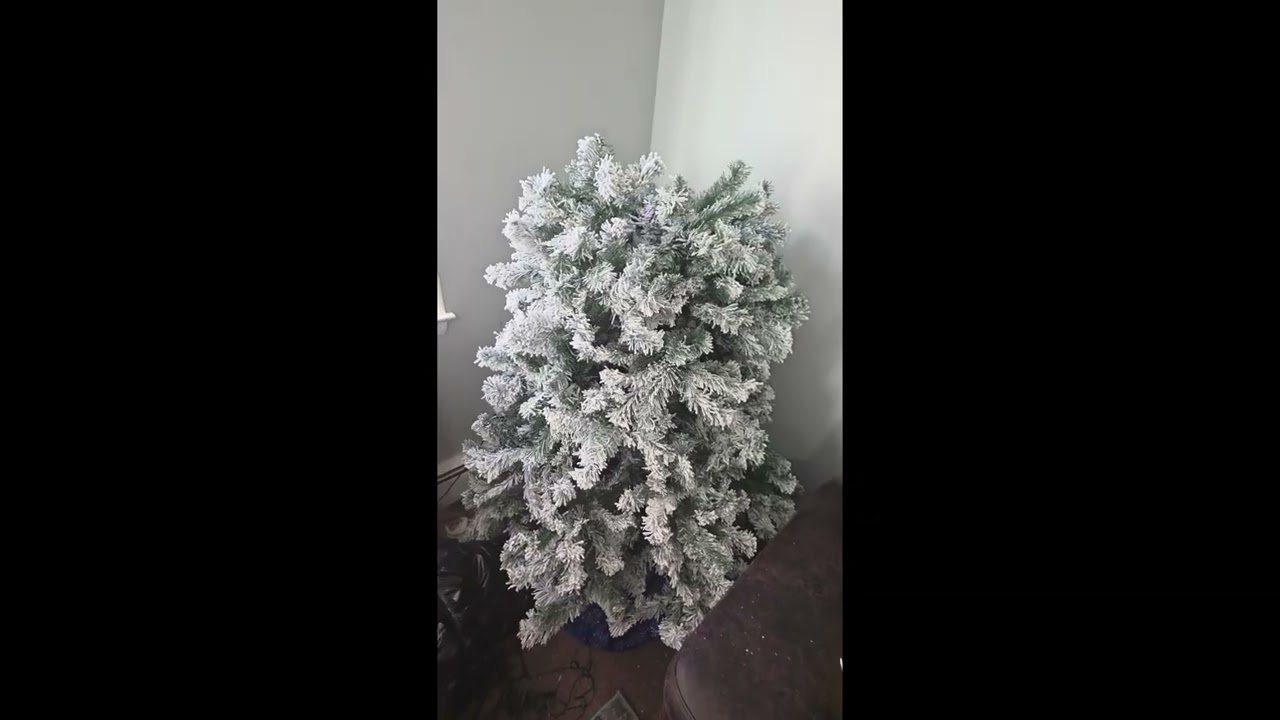 Ya llegó su tiempo. Por fin me animé a quitarlo.