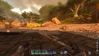 Rated Ark | Season 2 Episode 9 | Collecting Artifacts