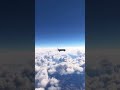Calm flyby in #msfs