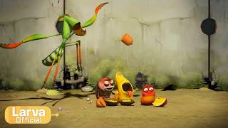 Mantis Animation Compilation Larva Tuba 