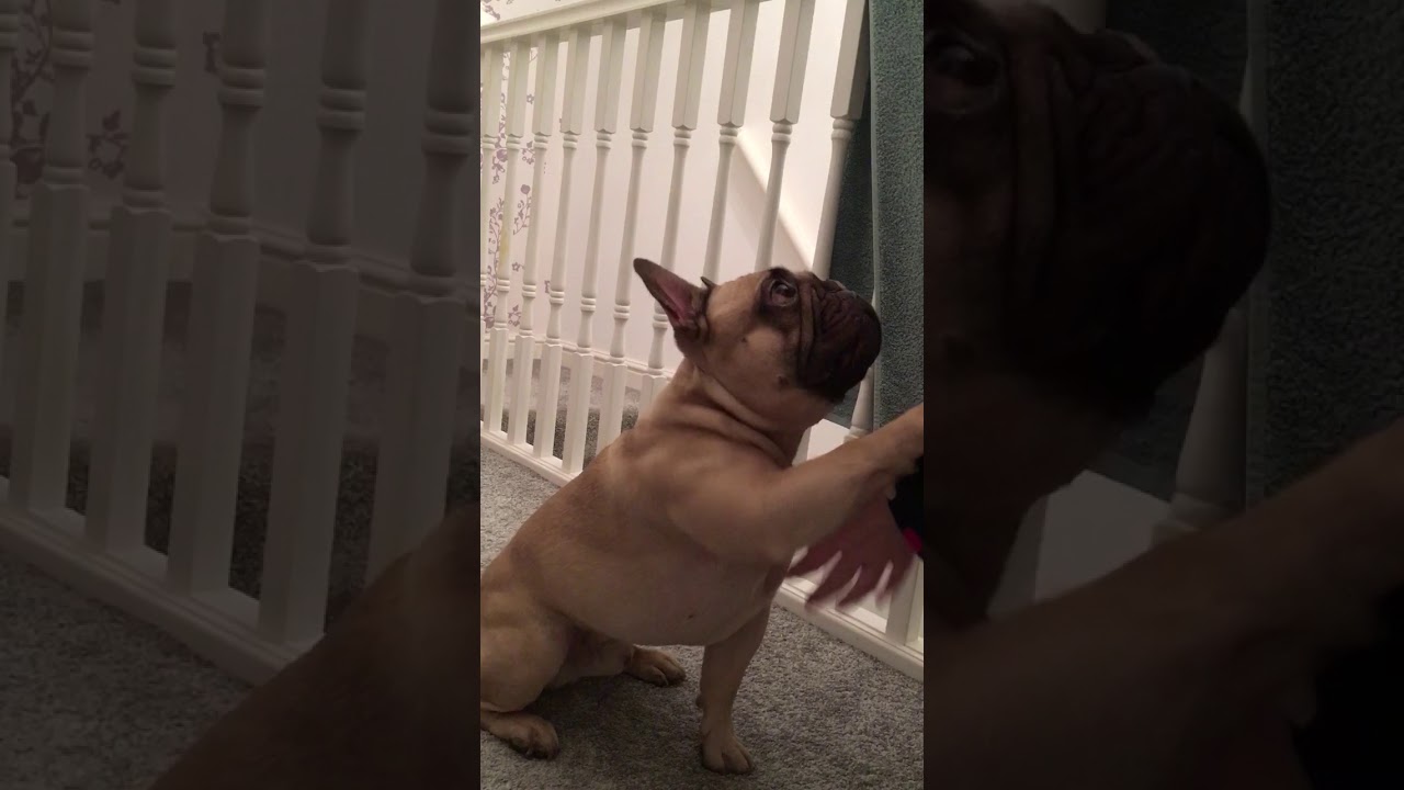 D766BB6D 7604 489E 8AB3 645B55B0DC6F