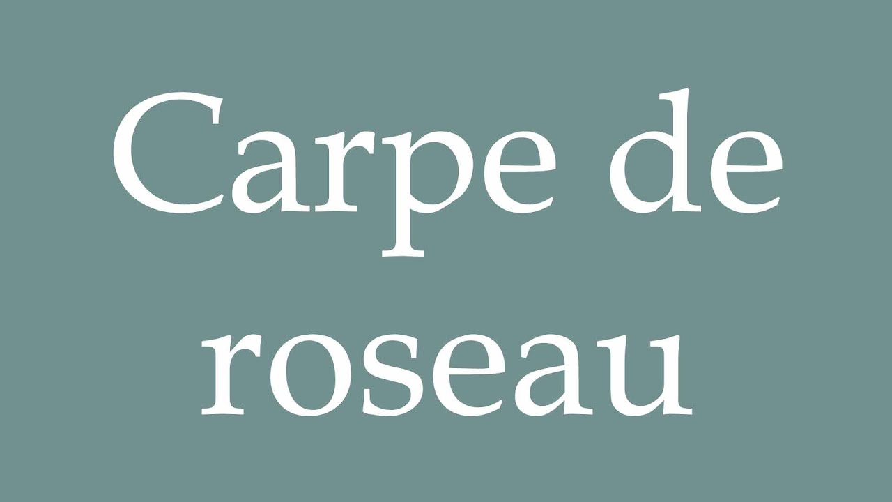 How to Pronounce ''Carpe de roseau'' (Grass carp) Correctly in French YouTube