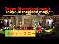 Tokyo Disneyland Tour / ディズニー 東京