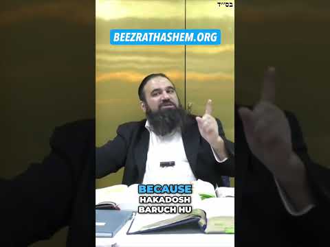 Б-Ж Его Милость