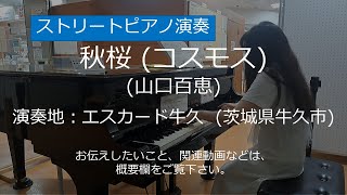 秋桜 (山口百恵)＠エスカード牛久【ストリートピアノ】/ Cosmos (Momoe Yamaguchi)
