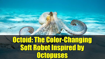 Octoid: The Color-Changing Soft Robot Inspired by Octopuses