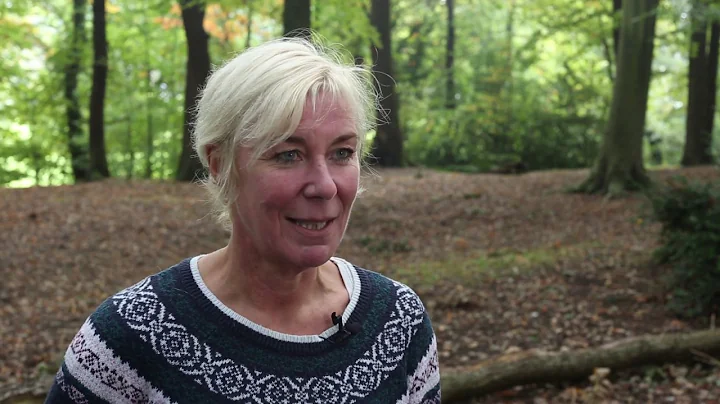 Setting up your own Forest School|FREE Guide
