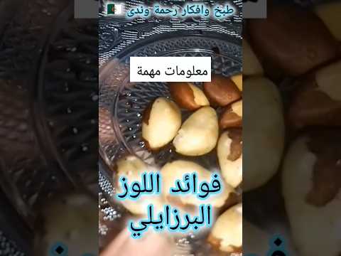 فوائد اللوز البرازيلي لصحتنا والطريقة الصحيحة لتناوله معلومات صحة لوز فوائد جسم الإنسان اكسبلور