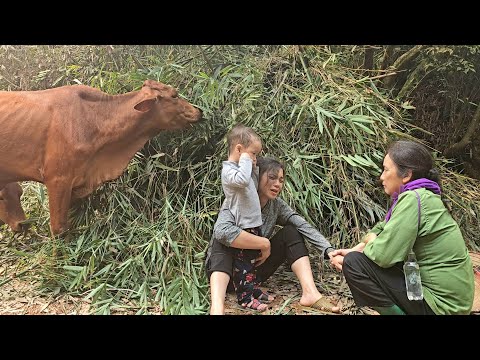 Bekar anne: Evim inekler tarafından yıkıldı ve bana nazik bir kadın yardım etti | Ly Thi Duyen