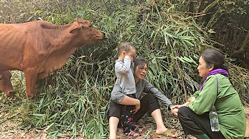 Single mother: My house was destroyed by cows and I was helped by a kind woman | Ly Thi Duyen