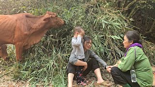 Мать-одиночка: Мой дом разрушили коровы, и мне помогла добрая женщина | Ли Тхи Дуйен