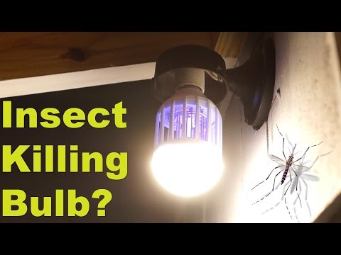 Video: Insect Killing Energy Saving Light Bulb