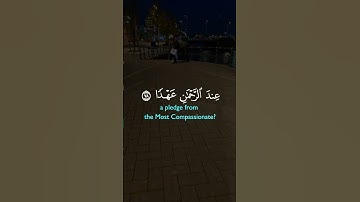 تلاوة خاشعة لآيات من كتاب الله #القرآن_الكريم #القرآن #الله #اكسبلور #foryou #viral #fyp #coran#