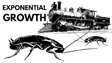 Cockroaches vs Industrialization
