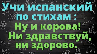 Учим испанский по стихам. Мария  Елена Уолш: лимерик про невоспитанную корову.