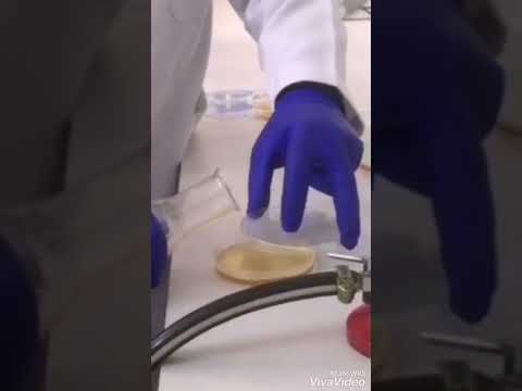 صب الاكار المغدي   