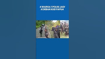 4 Warga Sipil dan 1 Polisi Jadi Korban Penembakan OPM KKB Papua di Nabire