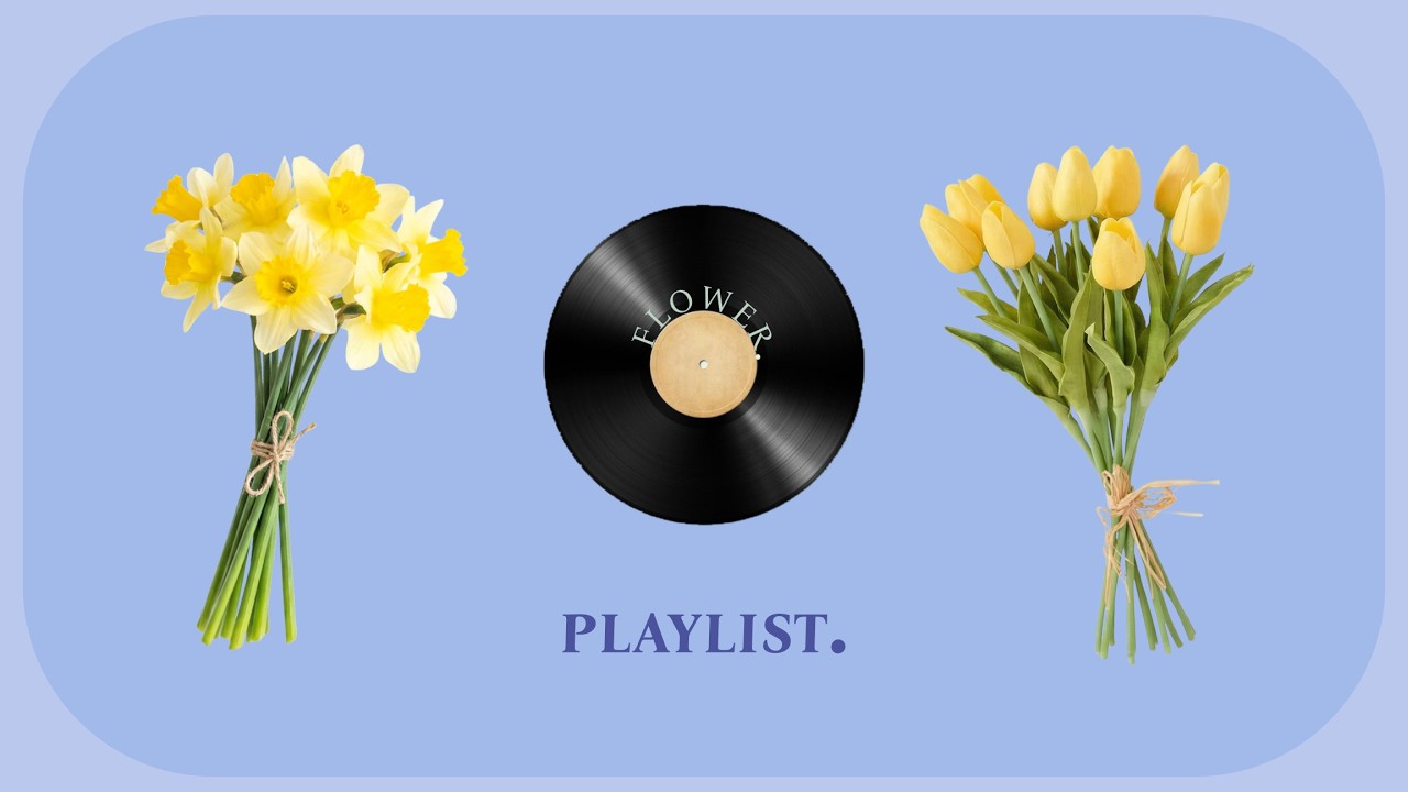 ˚.🎀༘⋆soft friday afternoon ˚.🎀༘⋆ | focus & cleaning playlist |