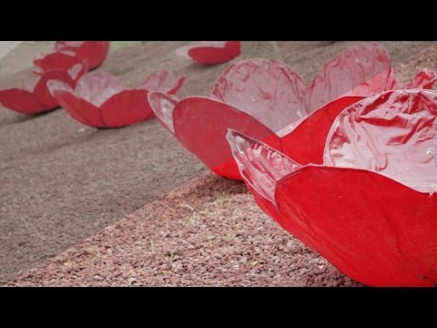 Canon 7D + Technicolor CineStyle LUT + S curve