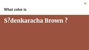 S?denkaracha Brown color #9b533f hex color - Brown color - Cool color 9b533f