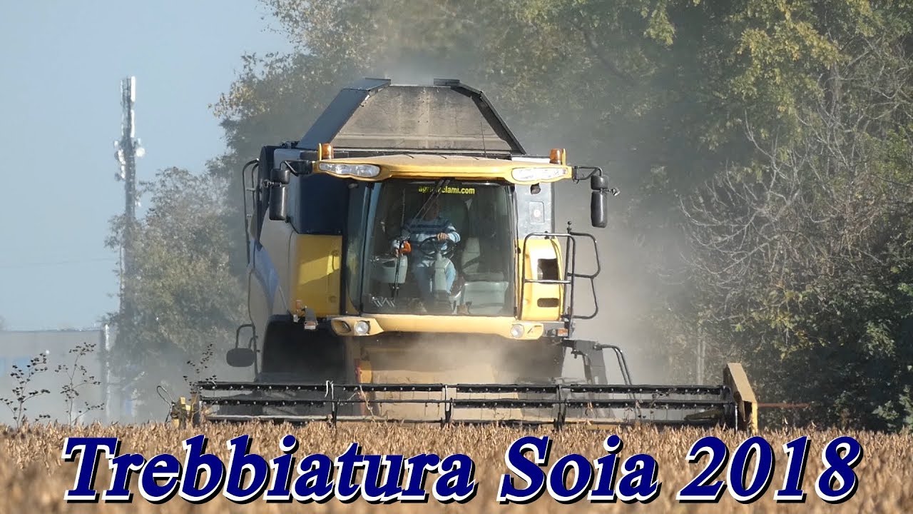 New Holland CX780 TiDue Tracks | Soybean Harvest | ROSSELLI