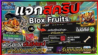 แจกสคริป Blox Fruits มือถือล่าสุด อัปเดตใหม่ ออโต้ฟาร์มเวล ฟามมาสดาบ ทำดาบคู่! [ไม่มีคีย์]🐯 screenshot 1