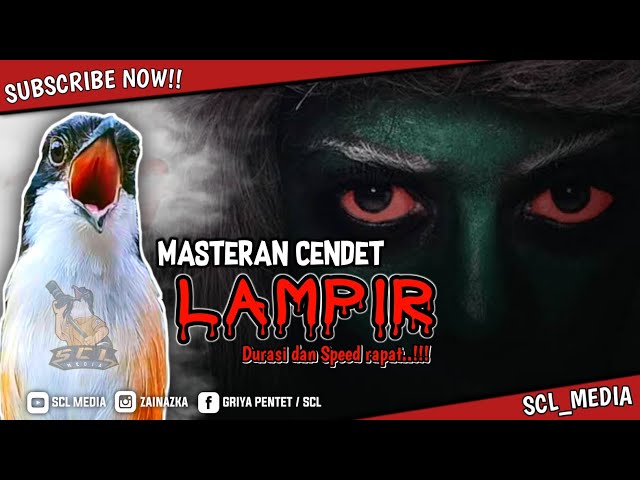 Masteran Cendet // Mak Lampir - Lamipran Speed // rekomendasi untuk trotolan kalian. class=